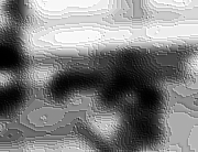  homosexuell schwanz gifs creampie städtisches wörterbuch 